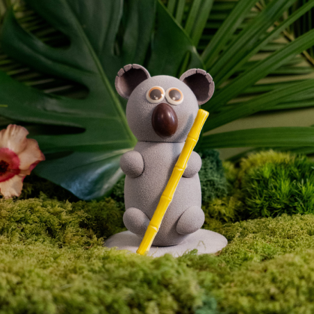 Koala en chocolat